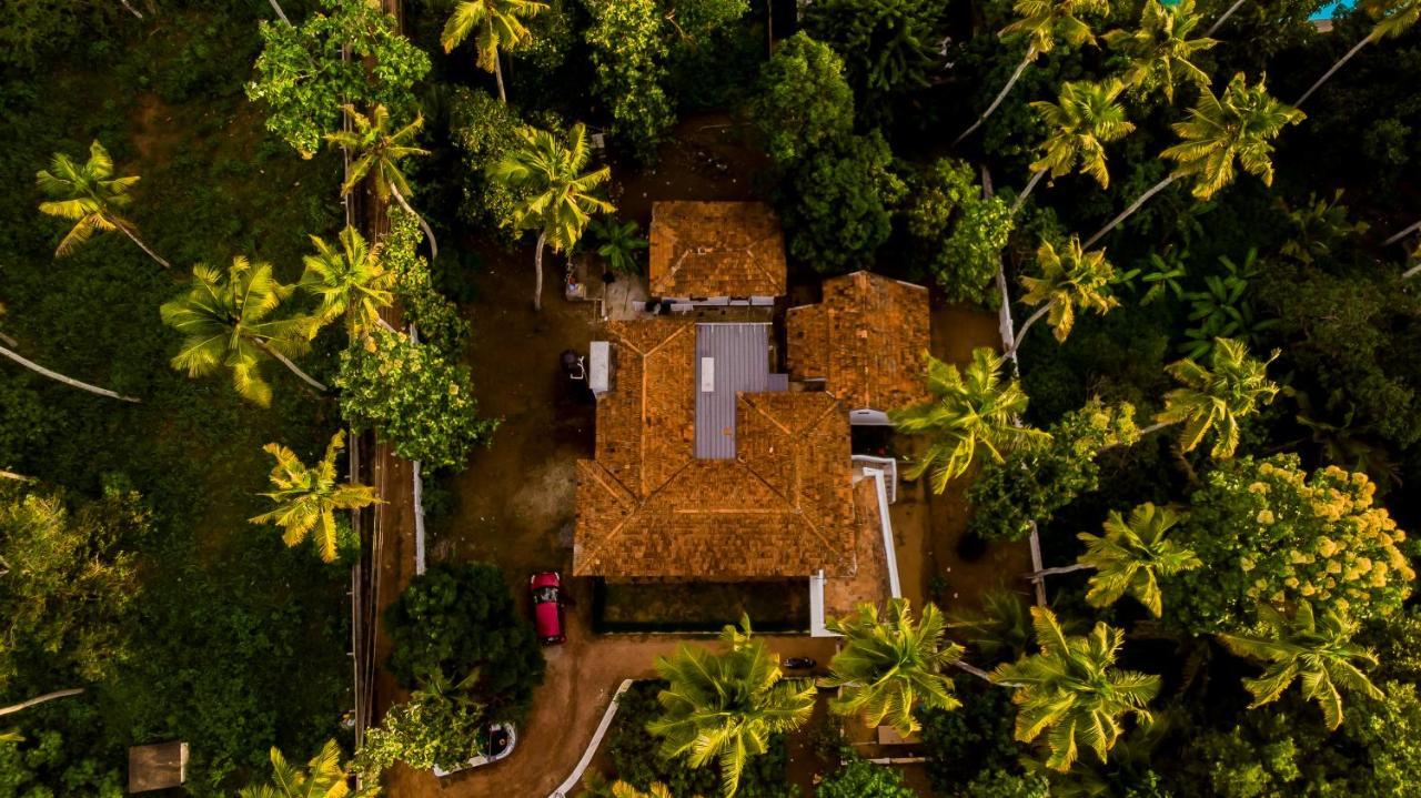 Piggy Hostel Varkala Exteriör bild